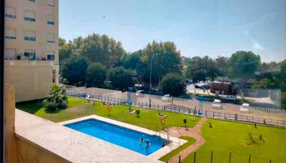 Apartment for rent in Parque Alcosa, Sevilla Capital - image 1 Photo 1 of Apartment for rent in Parque Alcosa, Sevilla Capital