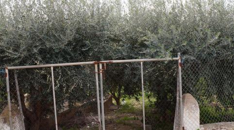 Foto 2 de Planta baixa en venda a Calle Los Juanchones, 3, Las Cánovas - Cuevas de Reyllo, Fuente Álamo de Murcia