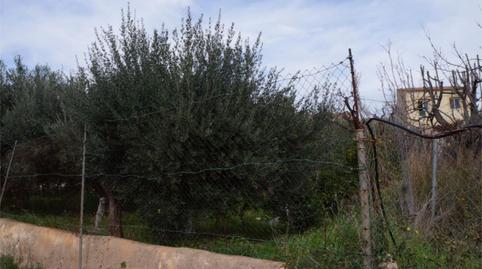 Foto 3 de Planta baixa en venda a Calle Los Juanchones, 3, Las Cánovas - Cuevas de Reyllo, Fuente Álamo de Murcia