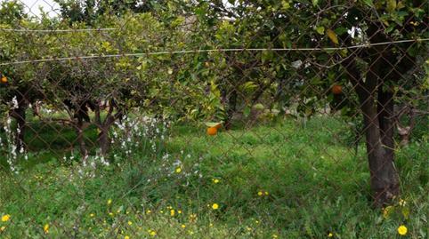 Foto 4 de Planta baixa en venda a Calle Los Juanchones, 3, Las Cánovas - Cuevas de Reyllo, Fuente Álamo de Murcia