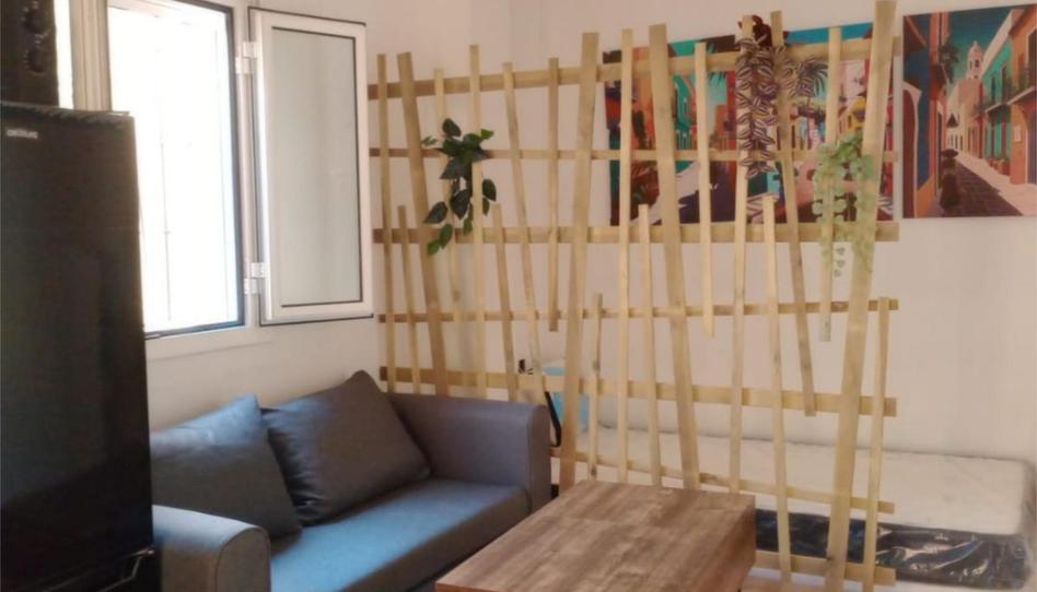 Pis de lloguer a Plaza Rafael Salazar, 19, Villanueva del Ariscal, Sevilla - imatge 1 Foto 1 de Pis de lloguer a Plaza Rafael Salazar, 19, Villanueva del Ariscal, Sevilla