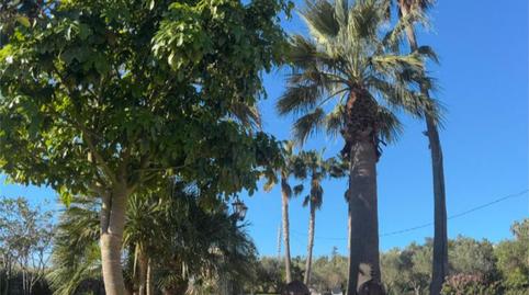 Photo 2 of Flat for sale in Calle Teulada, 1, Barrio de San Blas, Alicante / Alacant