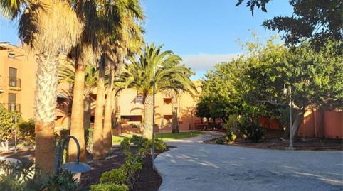 Foto 2 de Piso de alquiler en Calle Pizarro, 1, Los Abrigos, Granadilla de Abona