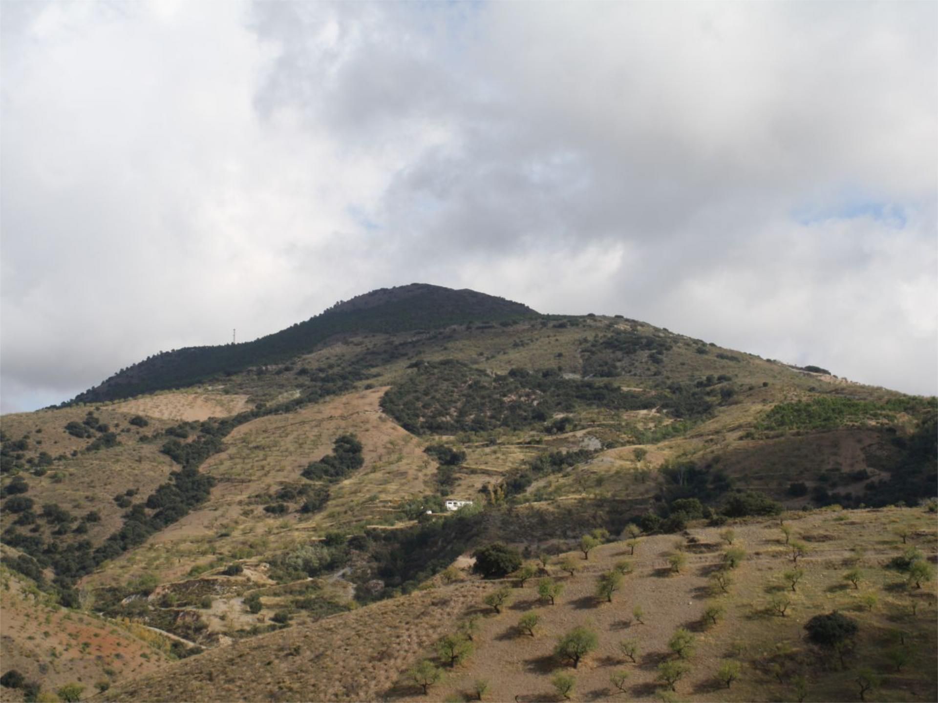 Pis en venda a Lugar Cortijo Teja, 4, Murtas