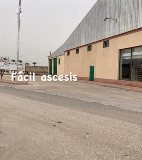 Foto 2 von Fabrikhallen zur Miete in Torre-Pacheco ciudad, Torre-Pacheco