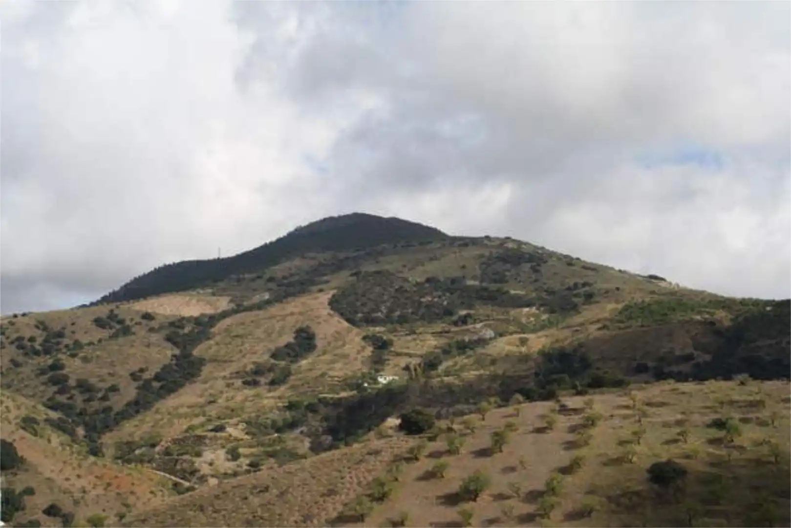 Casa o xalet en venda en Murtas