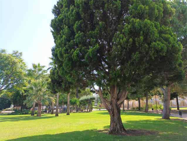 Piso en Alquiler en Parc Central