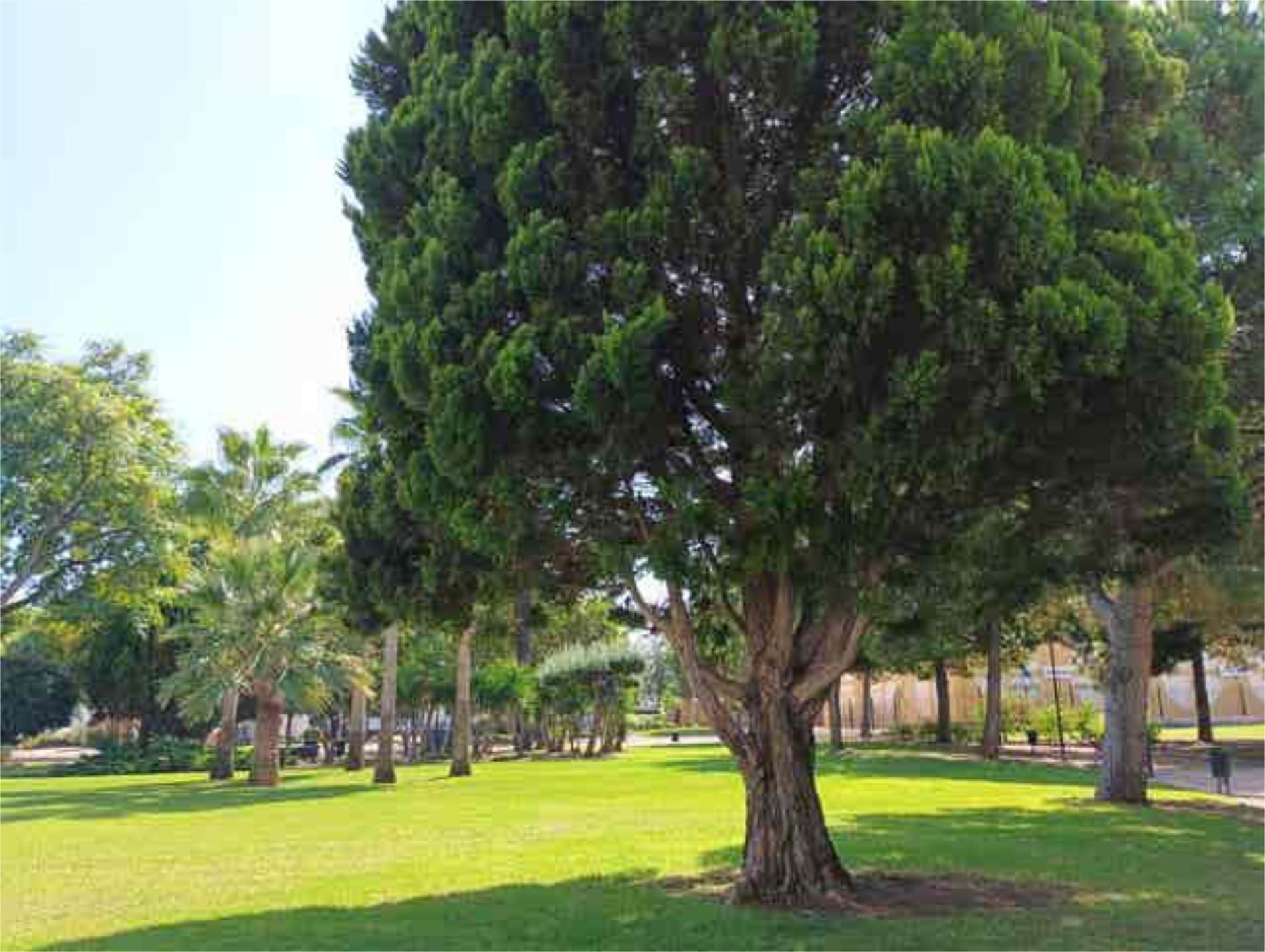 Jardín de Piso de alquiler en Paterna con Jardín privado y Amueblado
