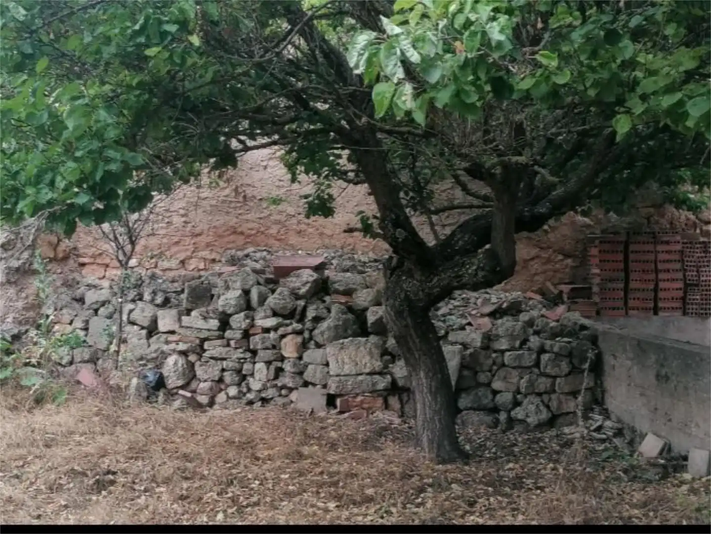 Casa o xalet en venda a Calle Santi Espiritu, 32, Presencio Jardí de Casa o xalet en venda en Presencio