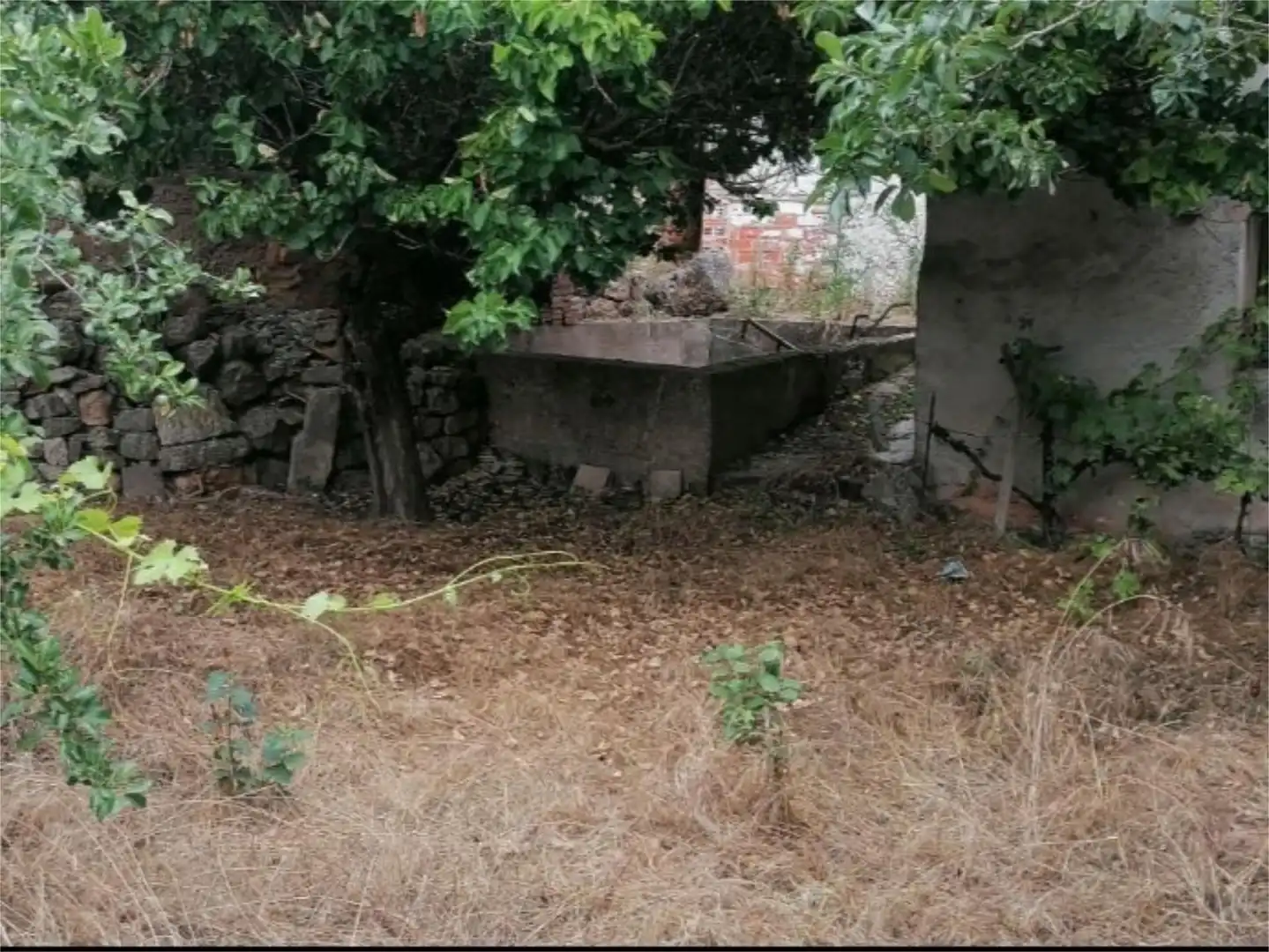 Casa o xalet en venda a Calle Santi Espiritu, 32, Presencio Casa o xalet en venda en Presencio