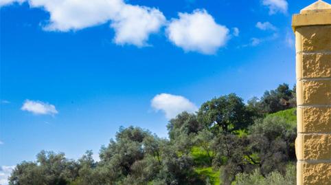 Foto 3 de Piso en venta en Poligono 13, 45, Casabermeja, Málaga