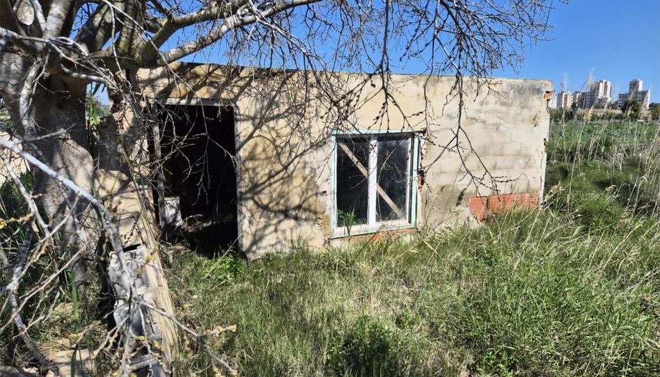 Wohnung zum Verkauf in Partida Almarjal, 11, El Edén, Guardamar del Segura - Bild 1 Foto 1 von Wohnung zum Verkauf in Partida Almarjal, 11, El Edén, Guardamar del Segura