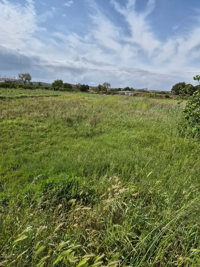 Finca rústica en venta en Partida Almarjal, 11, El Edén Finca rústica en venta en Guardamar del Segura con Terraza