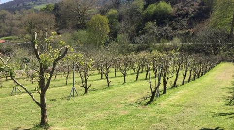 Foto 2 de Finca rústica en venda a Diseminado Hijas, 2006, Puente Viesgo, Cantabria