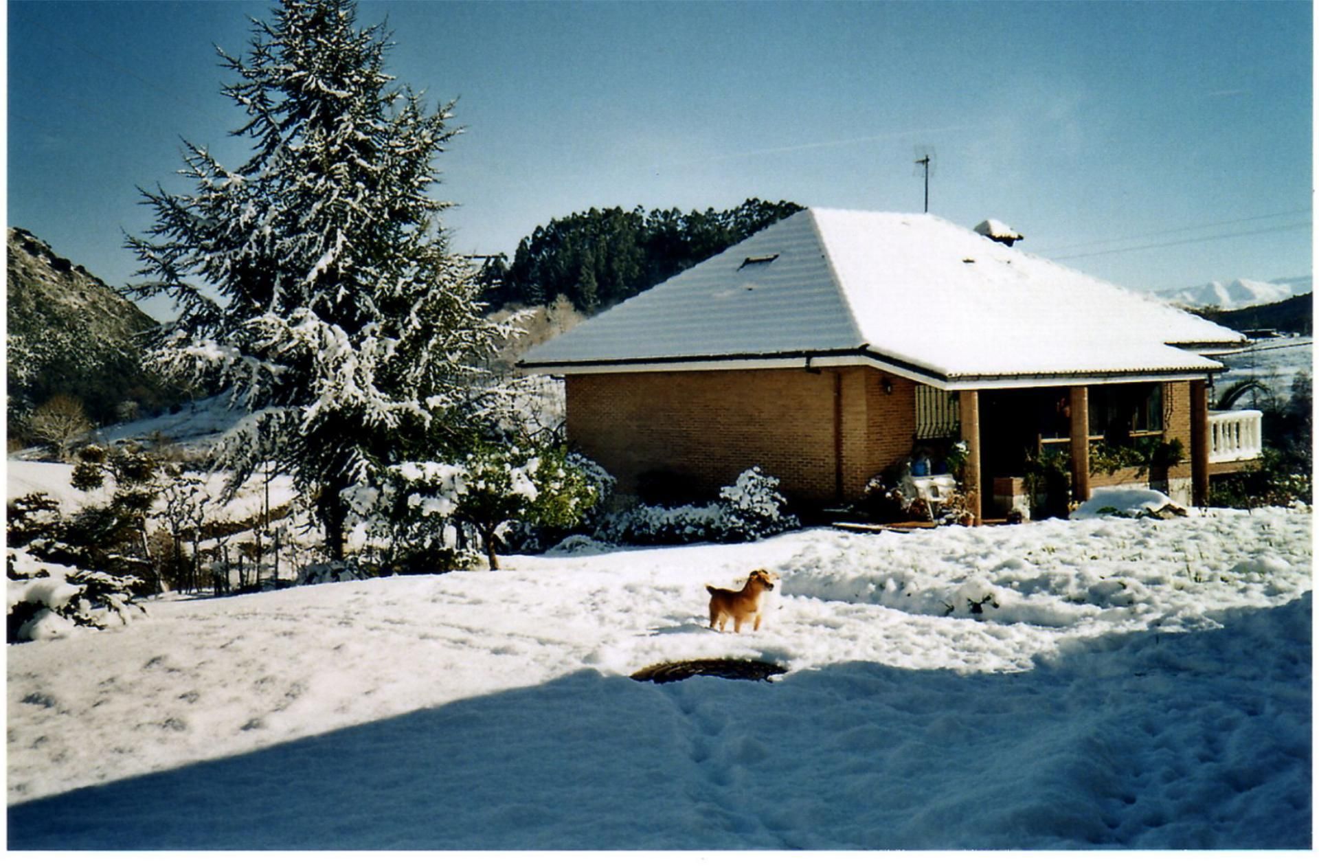Vista exterior de Finca rústica en venda en Puente Viesgo amb Aire condicionat, Terrassa i Balcó
