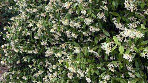 Houses for sale in Desconocido, 31x, Mataelpino, El Boalo - Cerceda – Mataelpino - image 5 Photo 5 of Houses for sale in Desconocido, 31x, Mataelpino, El Boalo - Cerceda – Mataelpino