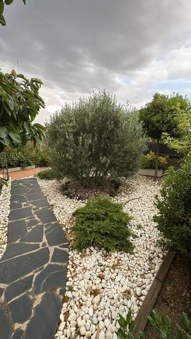 Casa o chalet en venta en Desconocido, 31x, Mataelpino Jardín de Casa o chalet en venta en El Boalo - Cerceda – Mataelpino con Terraza, Piscina y Balcón