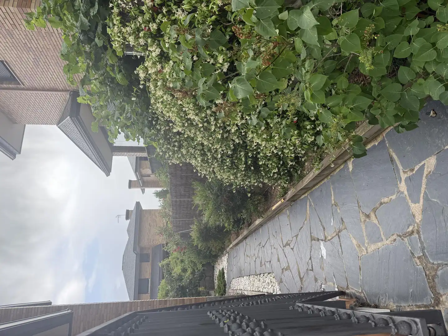 Casa o chalet en venta en Desconocido, 31x, Mataelpino Jardín de Casa o chalet en venta en El Boalo - Cerceda – Mataelpino con Terraza, Piscina y Balcón