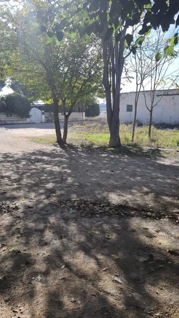 Finca rústica en venda en Villena amb Jardí privat, Terrassa i Traster