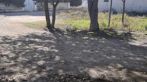 Finca rústica en venda a Paraje Casas de Menor, 67, Partidas Norte, Villena - imatge 3 Foto 3 de Finca rústica en venda a Paraje Casas de Menor, 67, Partidas Norte, Villena