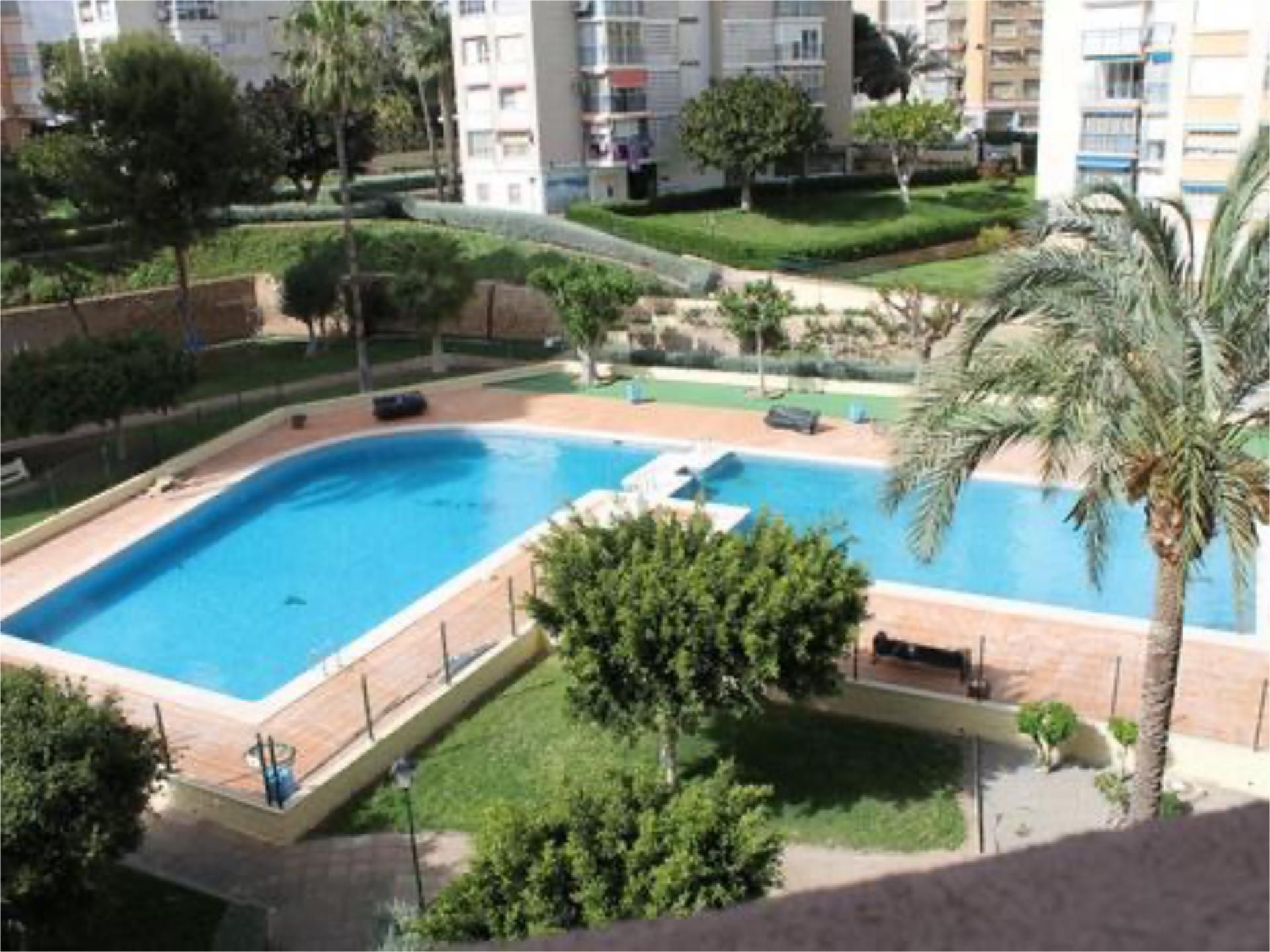 Swimming pool of Flat for rent in Benidorm  with Swimming Pool, Furnished and Community parking