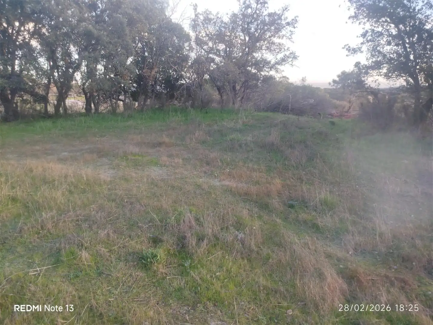 Country homes for sale in Vial Camino, 74, Cadalso de los Vidrios Country homes for sale in Cadalso de los Vidrios