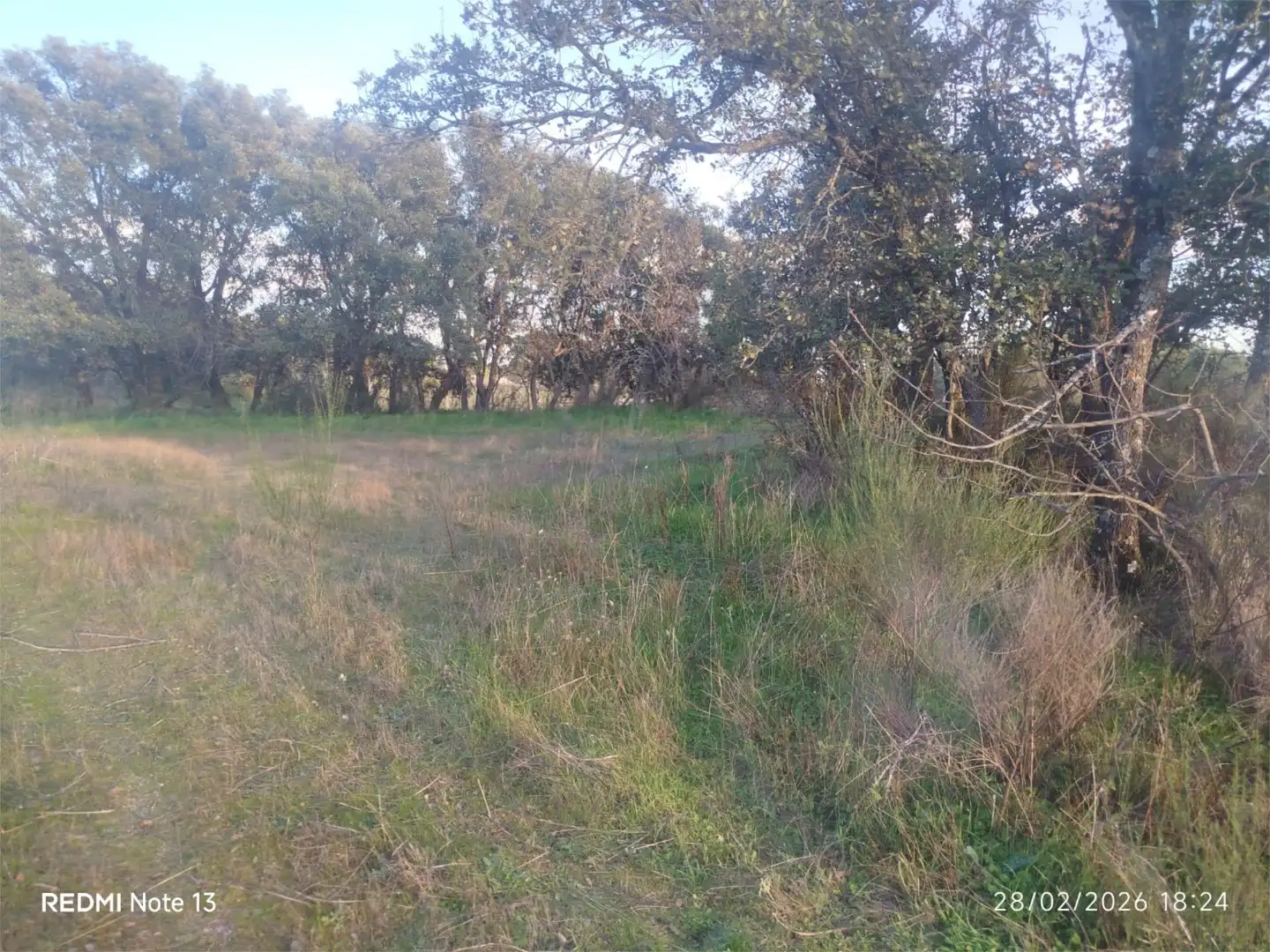 Country homes for sale in Vial Camino, 74, Cadalso de los Vidrios Country homes for sale in Cadalso de los Vidrios