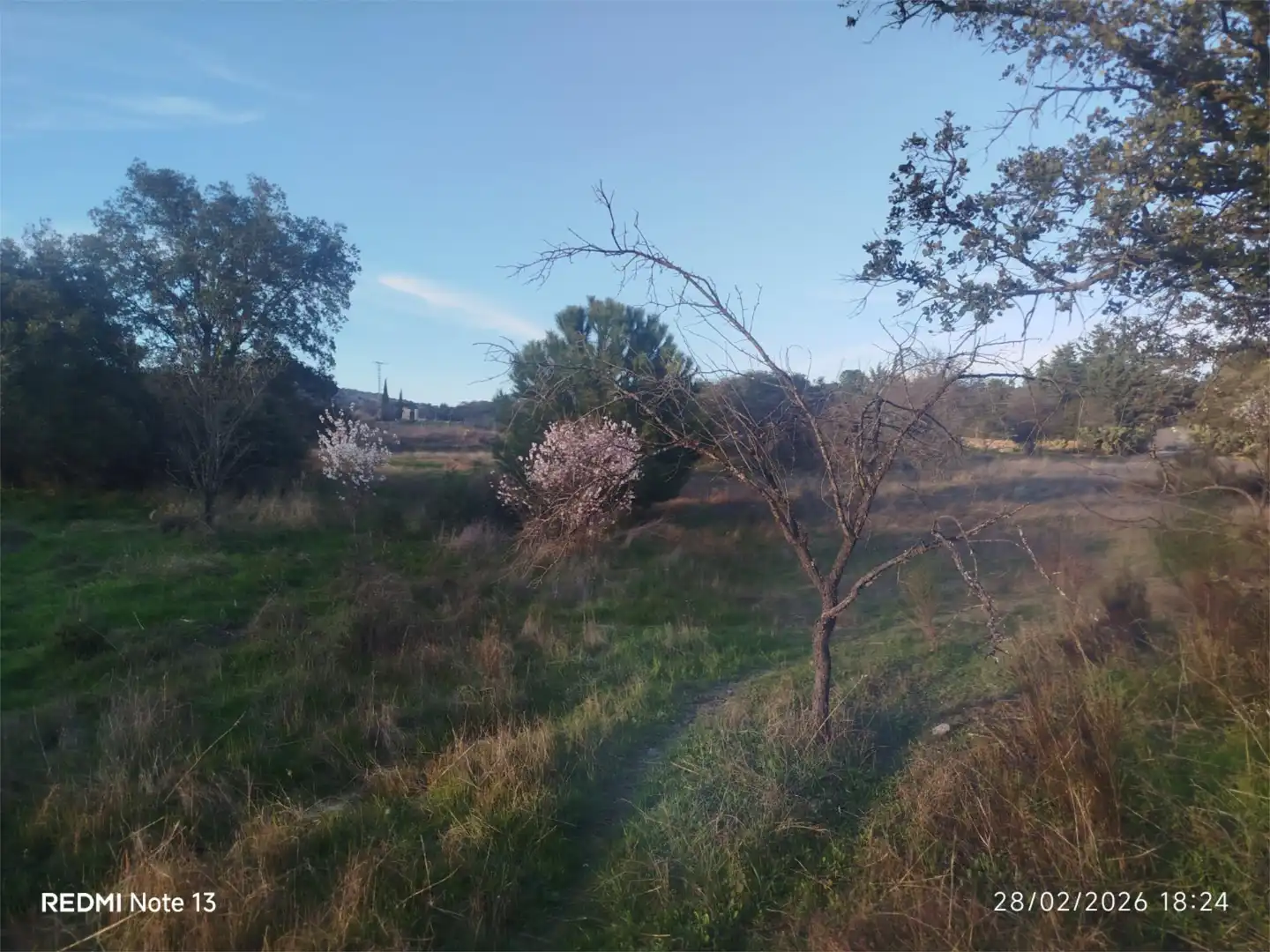 Country homes for sale in Vial Camino, 74, Cadalso de los Vidrios Country homes for sale in Cadalso de los Vidrios