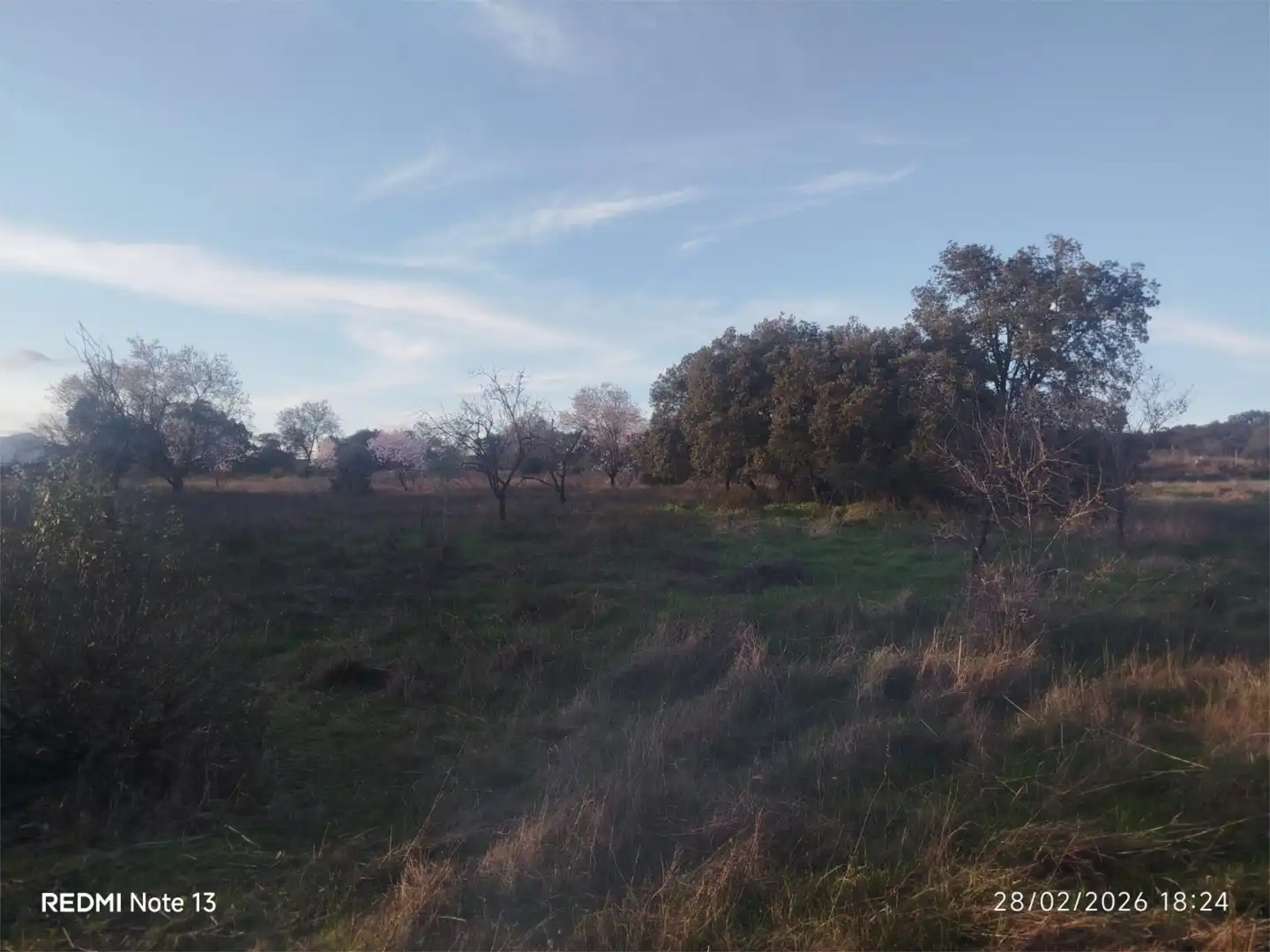 Country homes for sale in Vial Camino, 74, Cadalso de los Vidrios Country homes for sale in Cadalso de los Vidrios