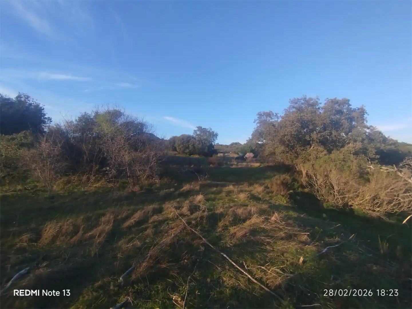 Country homes for sale in Vial Camino, 74, Cadalso de los Vidrios Country homes for sale in Cadalso de los Vidrios