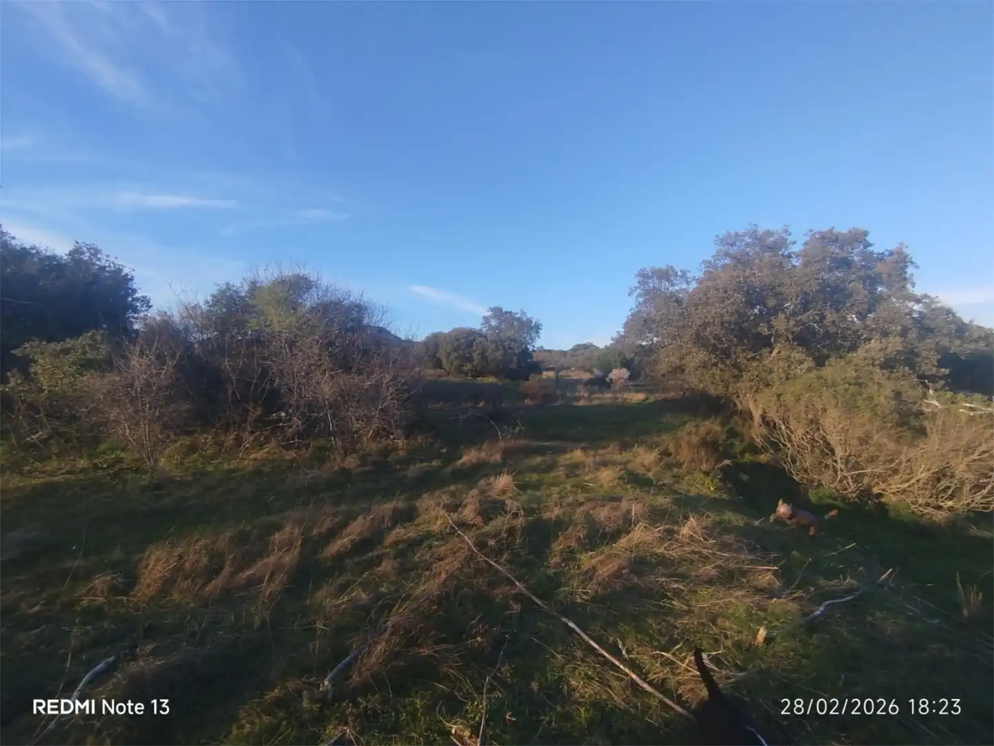 Country homes for sale in Vial Camino, 74, Cadalso de los Vidrios Country homes for sale in Cadalso de los Vidrios
