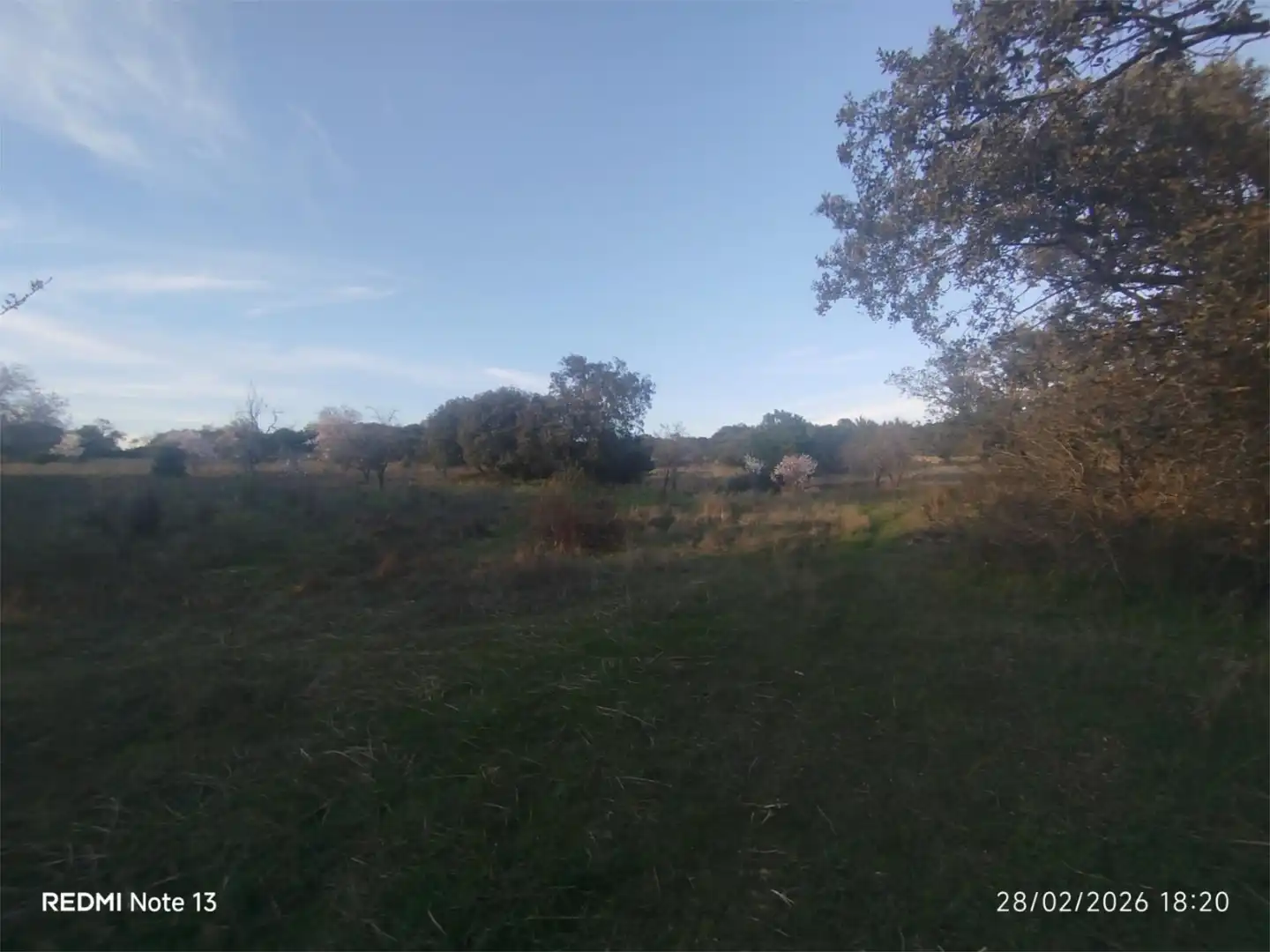 Country homes for sale in Vial Camino, 74, Cadalso de los Vidrios Country homes for sale in Cadalso de los Vidrios