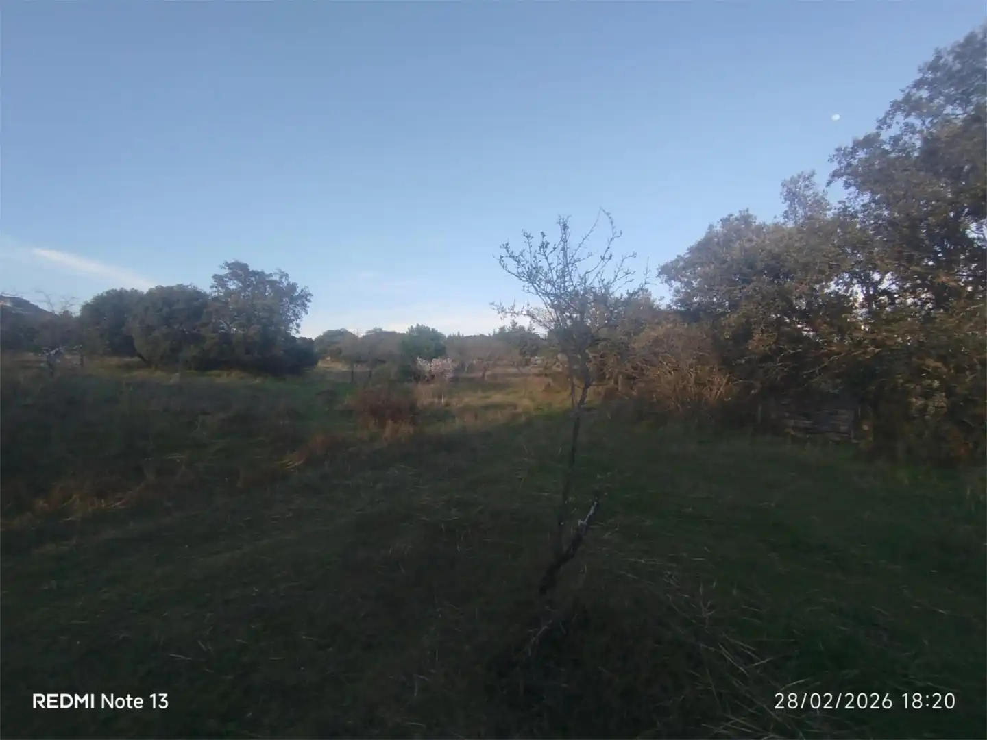 Country homes for sale in Vial Camino, 74, Cadalso de los Vidrios Country homes for sale in Cadalso de los Vidrios
