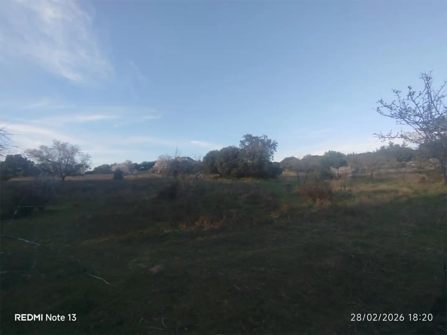 Country homes for sale in Vial Camino, 74, Cadalso de los Vidrios Country homes for sale in Cadalso de los Vidrios
