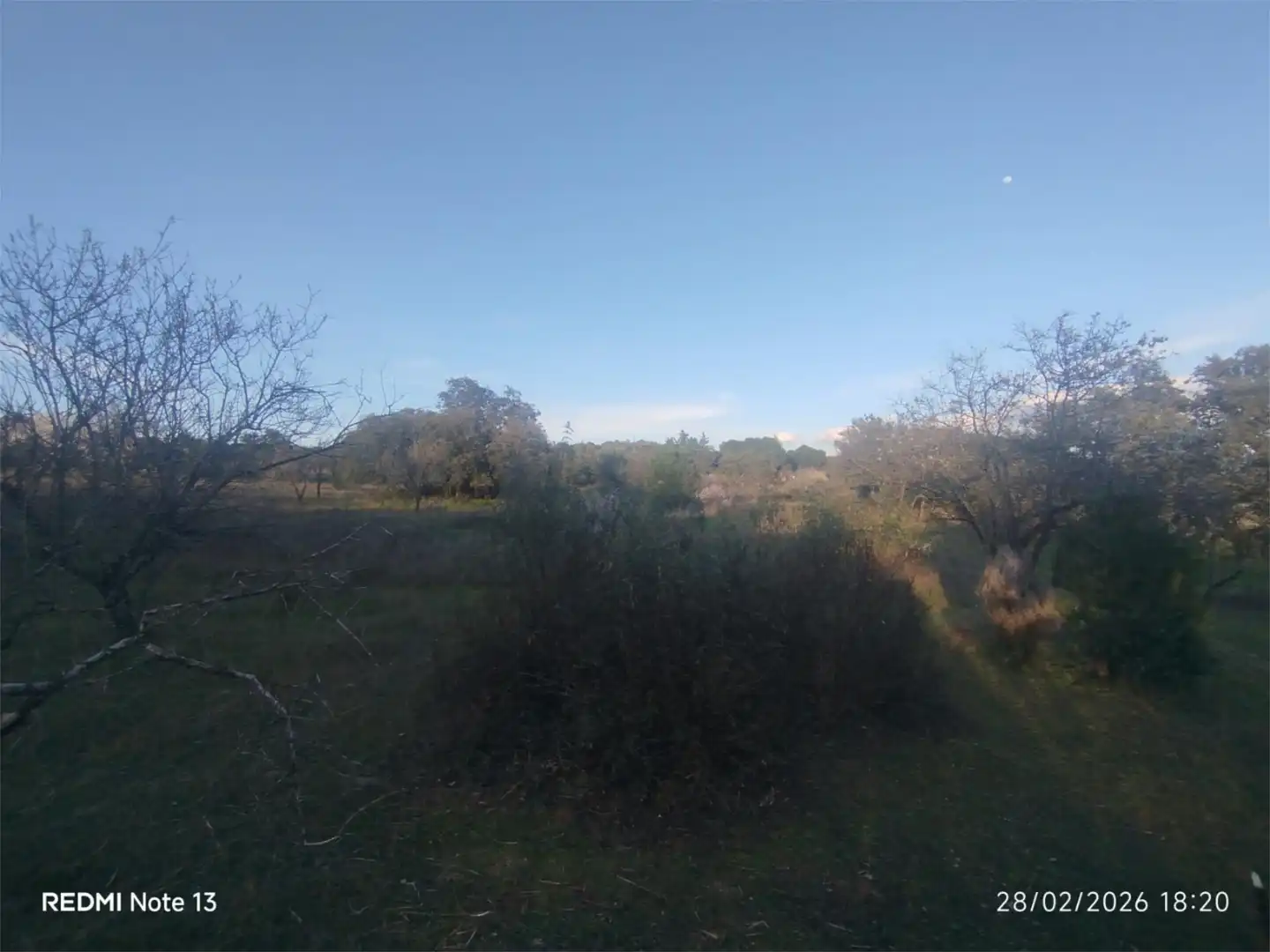 Country homes for sale in Vial Camino, 74, Cadalso de los Vidrios Country homes for sale in Cadalso de los Vidrios