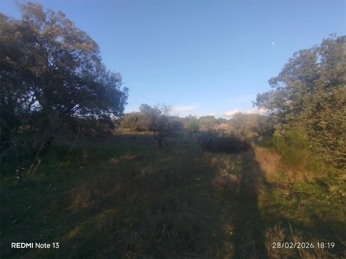 Country homes for sale in Vial Camino, 74, Cadalso de los Vidrios Country homes for sale in Cadalso de los Vidrios