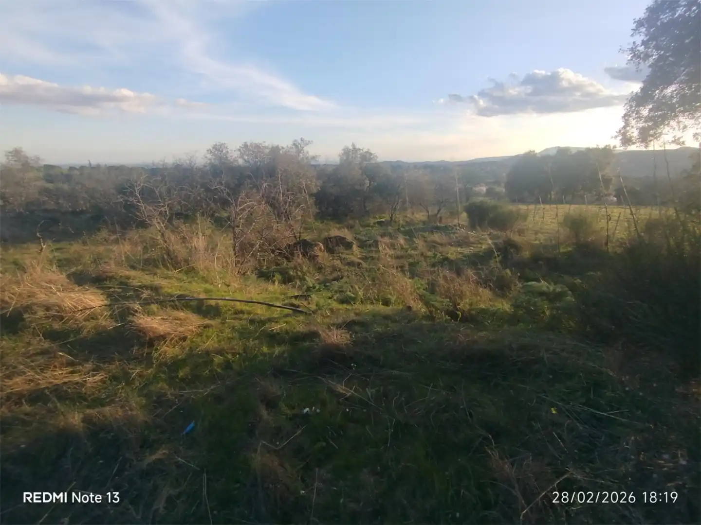 Country homes for sale in Vial Camino, 74, Cadalso de los Vidrios Country homes for sale in Cadalso de los Vidrios