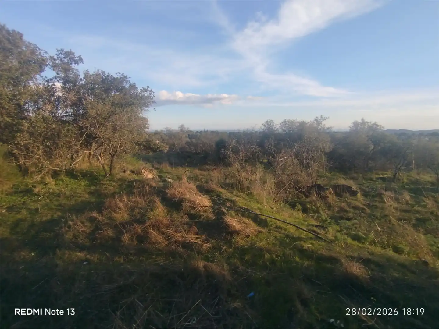 Country homes for sale in Vial Camino, 74, Cadalso de los Vidrios Country homes for sale in Cadalso de los Vidrios