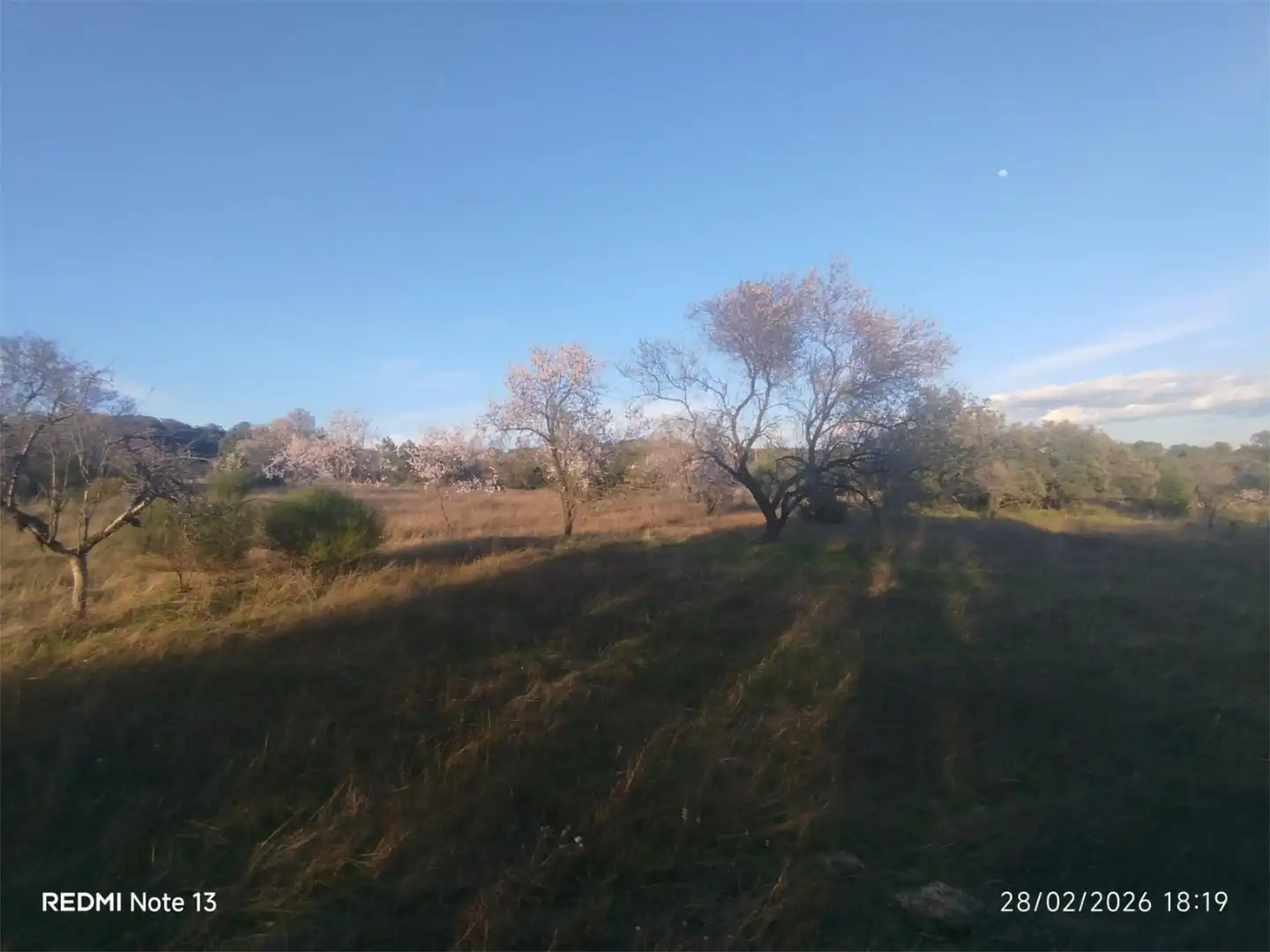 Country homes for sale in Vial Camino, 74, Cadalso de los Vidrios Country homes for sale in Cadalso de los Vidrios