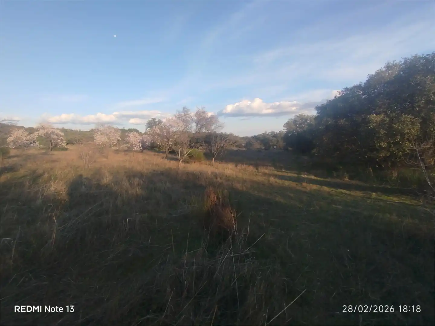Country homes for sale in Vial Camino, 74, Cadalso de los Vidrios Country homes for sale in Cadalso de los Vidrios