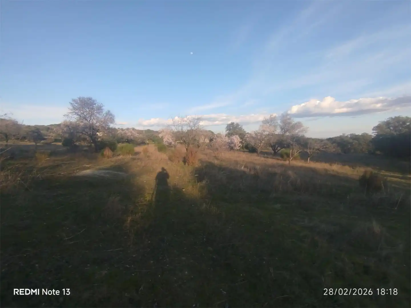 Country homes for sale in Vial Camino, 74, Cadalso de los Vidrios Country homes for sale in Cadalso de los Vidrios