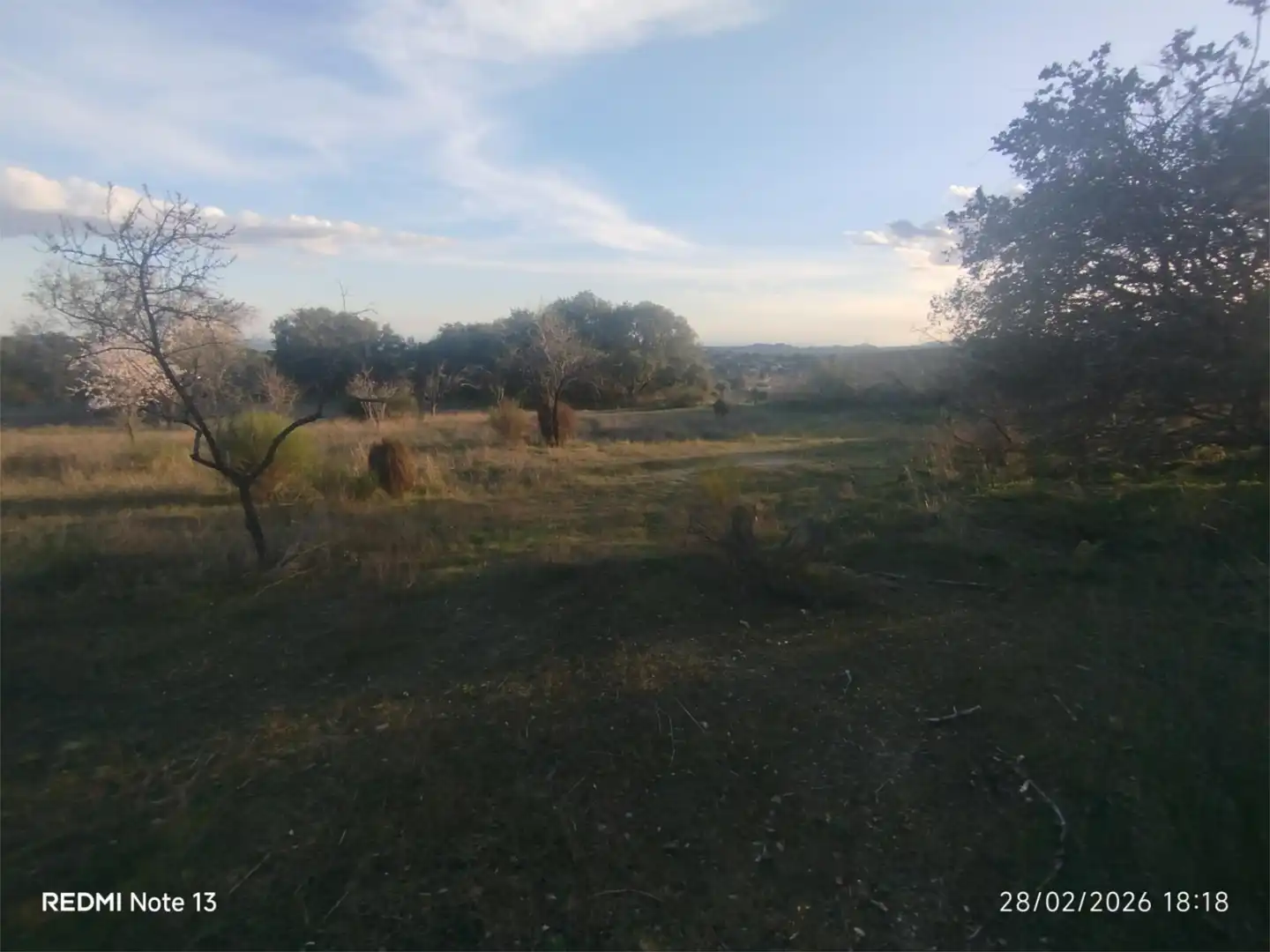 Country homes for sale in Vial Camino, 74, Cadalso de los Vidrios Country homes for sale in Cadalso de los Vidrios