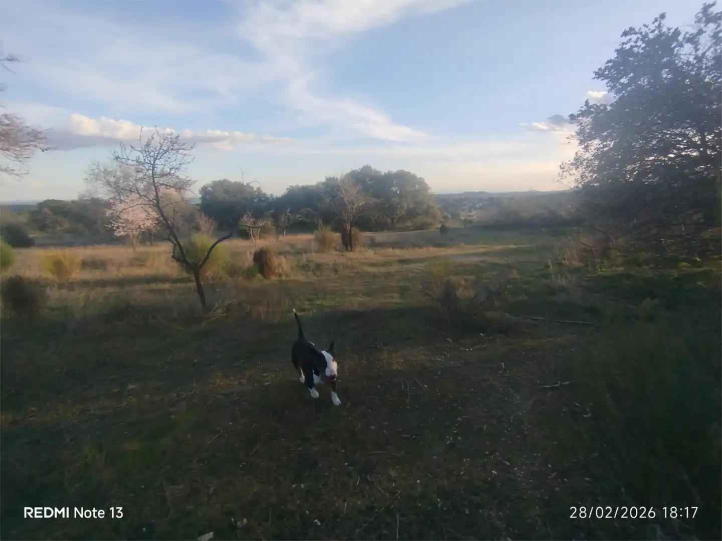 Country homes for sale in Vial Camino, 74, Cadalso de los Vidrios Country homes for sale in Cadalso de los Vidrios