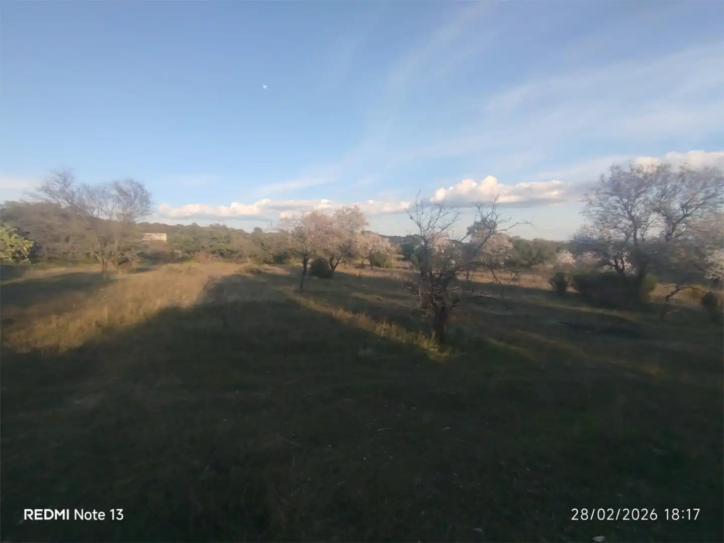 Country homes for sale in Vial Camino, 74, Cadalso de los Vidrios Country homes for sale in Cadalso de los Vidrios