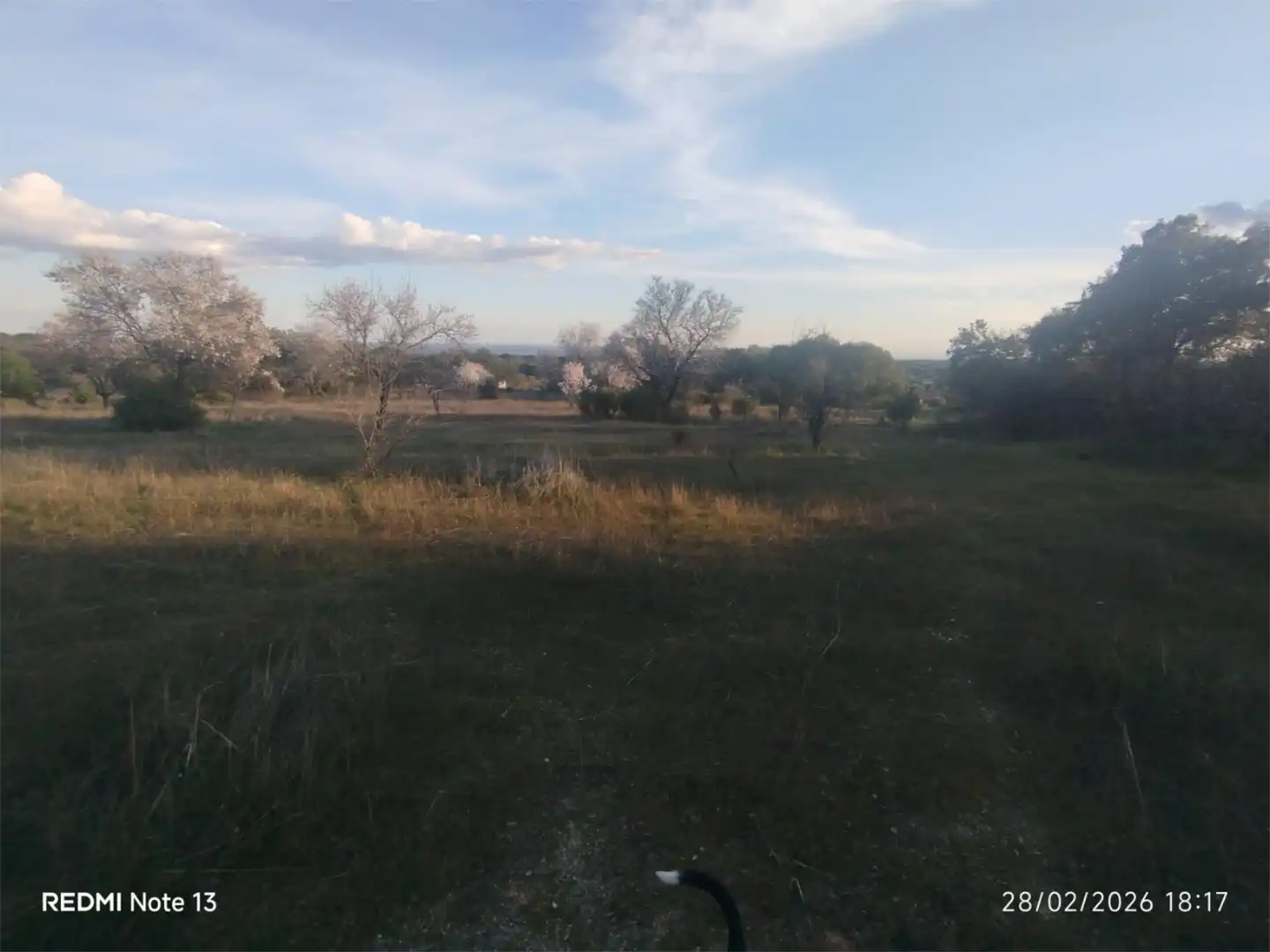 Country homes for sale in Vial Camino, 74, Cadalso de los Vidrios Country homes for sale in Cadalso de los Vidrios