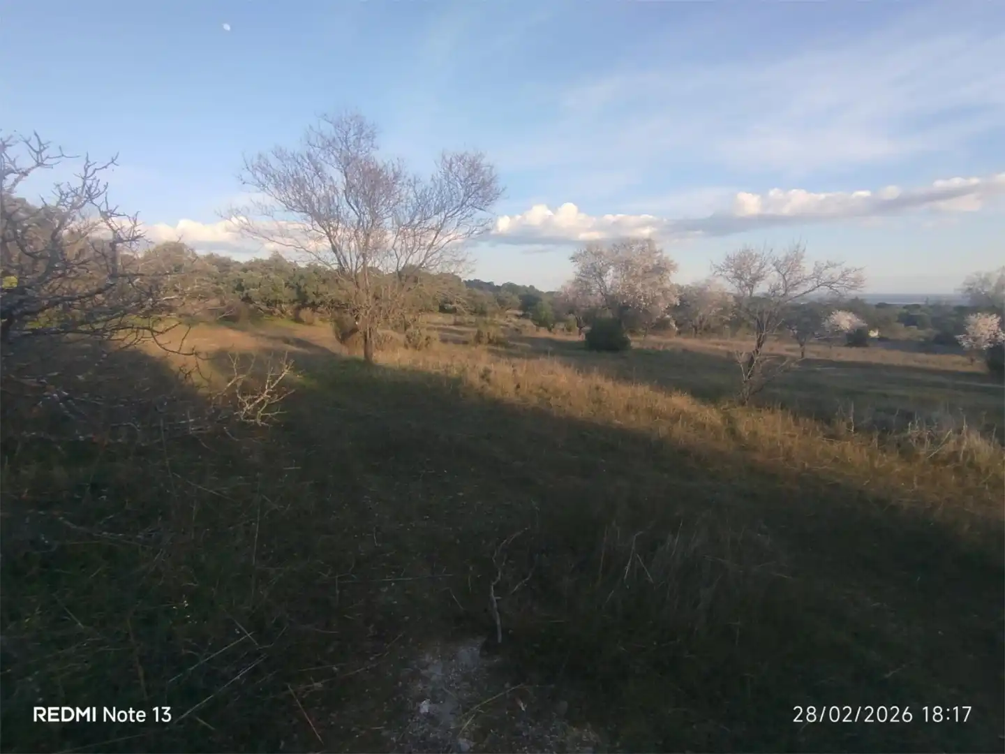 Country homes for sale in Vial Camino, 74, Cadalso de los Vidrios Country homes for sale in Cadalso de los Vidrios