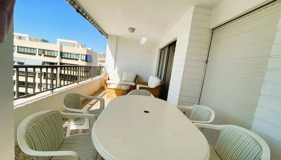 Piso de alquiler en Avenida de Holanda, 14, Playa de San Juan, Alicante / Alacant - imagen 1 Foto 1 de Piso de alquiler en Avenida de Holanda, 14, Playa de San Juan, Alicante / Alacant