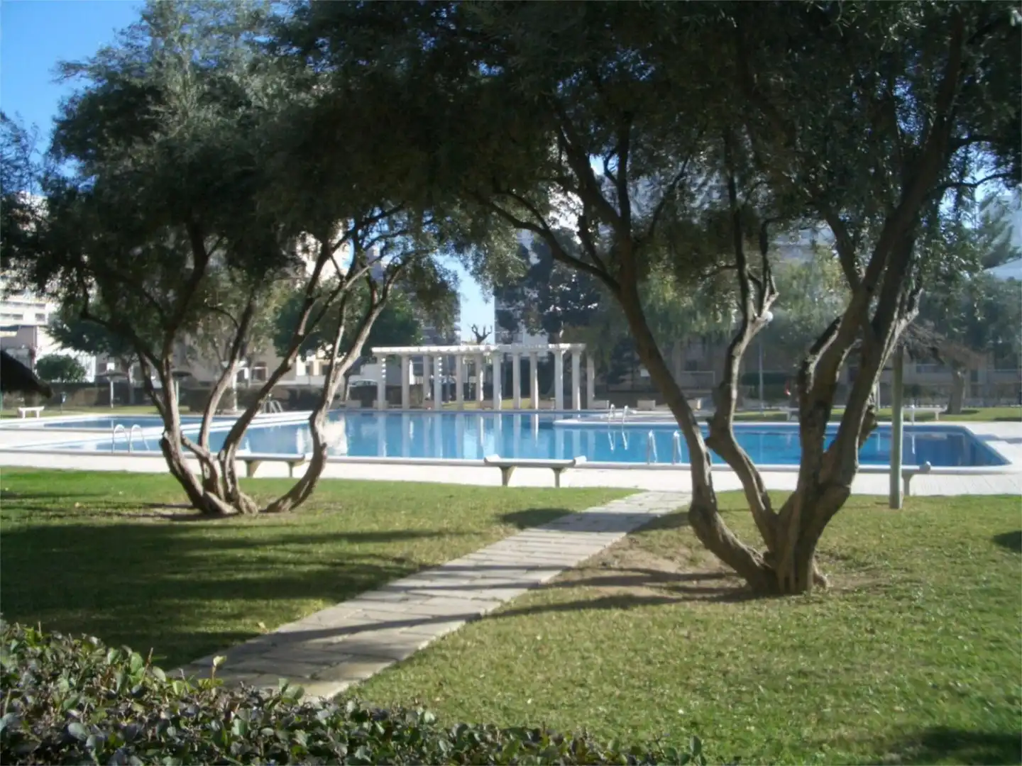 Schwimmbecken von Wohnung zur Miete in Alicante / Alacant mit Klimaanlage, Heizung und Privatgarten