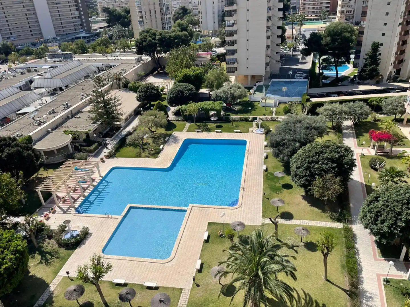 Schwimmbecken von Wohnung zur Miete in Alicante / Alacant mit Klimaanlage, Heizung und Privatgarten