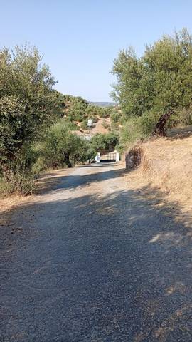 Finca rústica en Venta en Calle de Antonio Machado, 29 en La Puebla de los Infantes